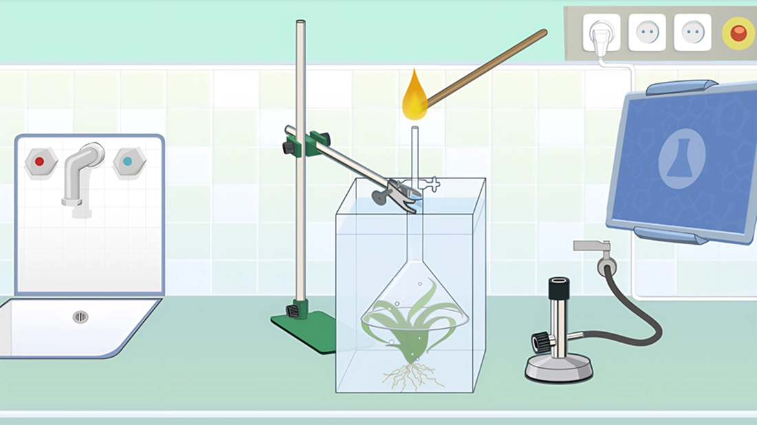 Teaser „Das grüne Wunder“